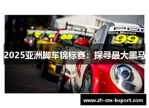 2025亚洲脚车锦标赛：探寻最大黑马