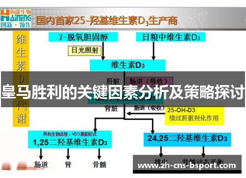 皇马胜利的关键因素分析及策略探讨