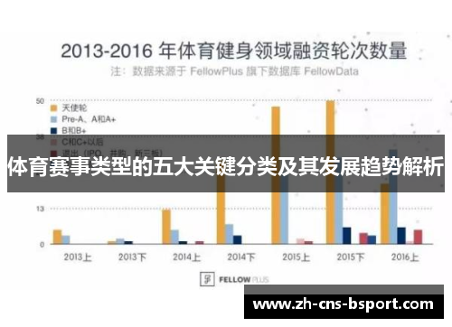 体育赛事类型的五大关键分类及其发展趋势解析
