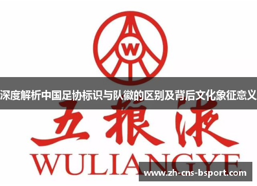深度解析中国足协标识与队徽的区别及背后文化象征意义