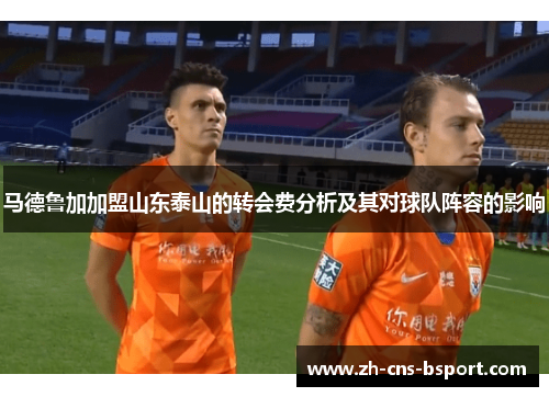 马德鲁加加盟山东泰山的转会费分析及其对球队阵容的影响